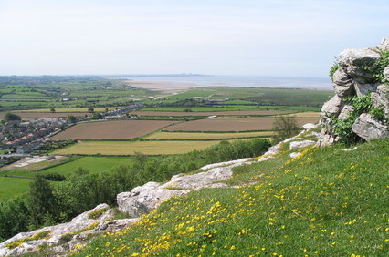 landscape from warton crag