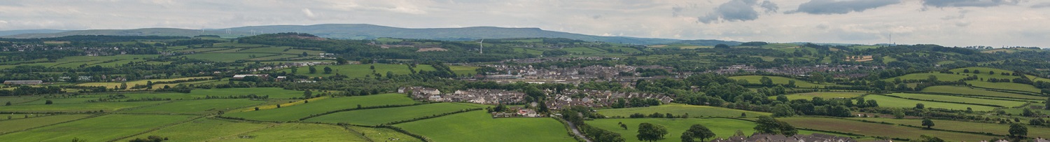 Warton