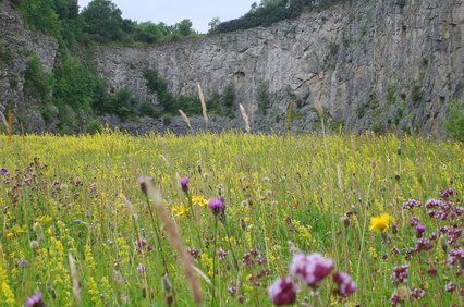 Warton Crag