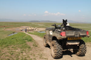 Salt Marsh Arnside Tower Ella Riden