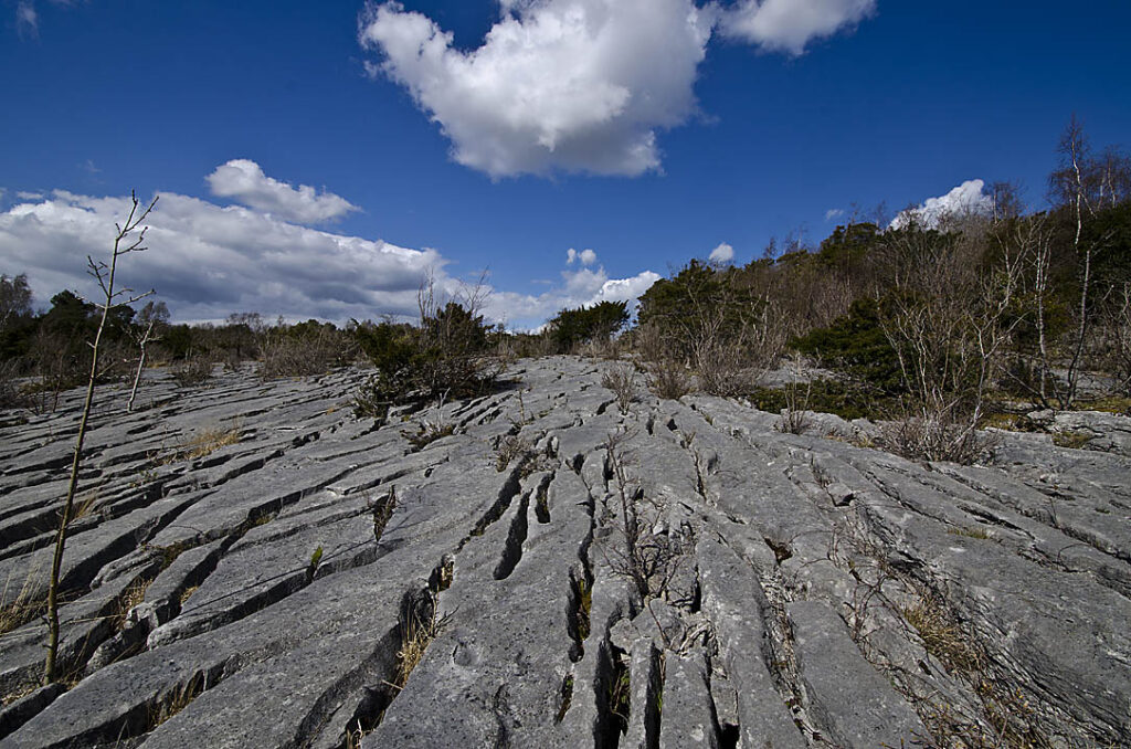 Limestone Pavement Art-image