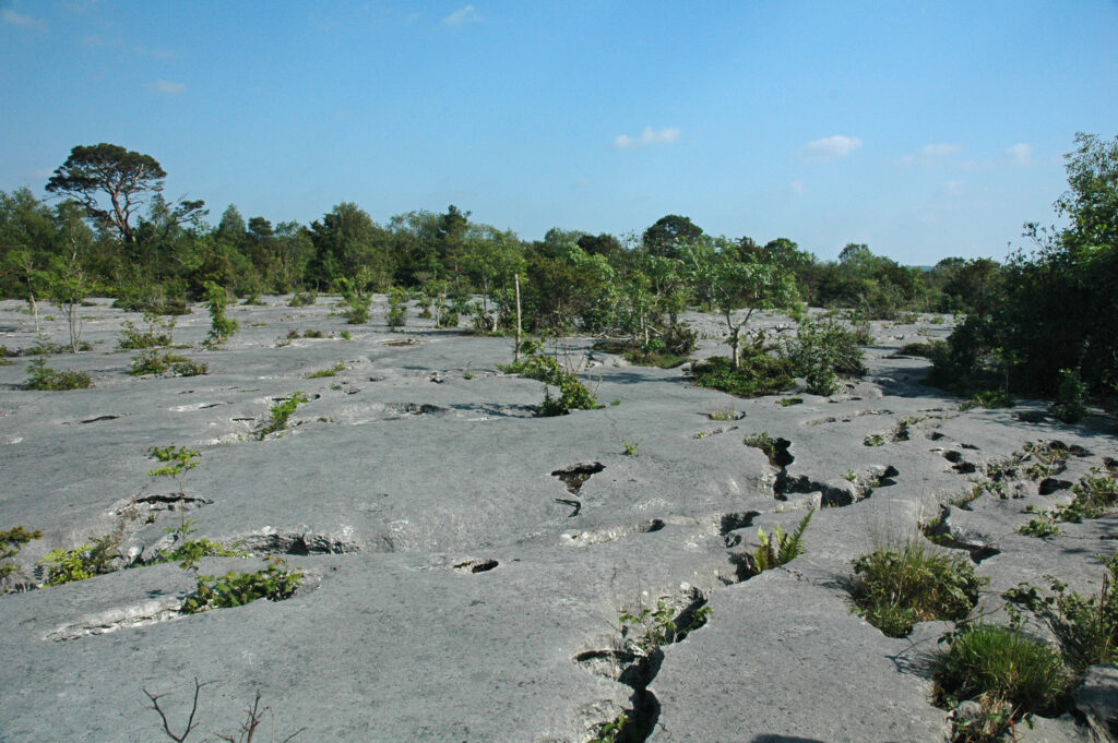 Limestone Pavement Gait Barrows John Reaney