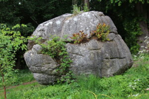 Bowk Stone of Hawes Water (AONB)