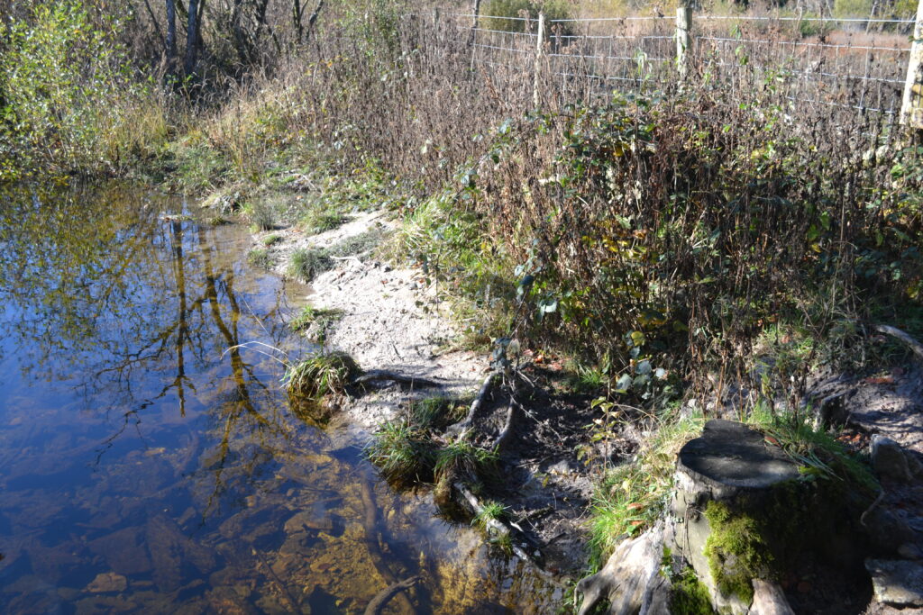 Marl at Hawes Water (Janet Hargeaves)