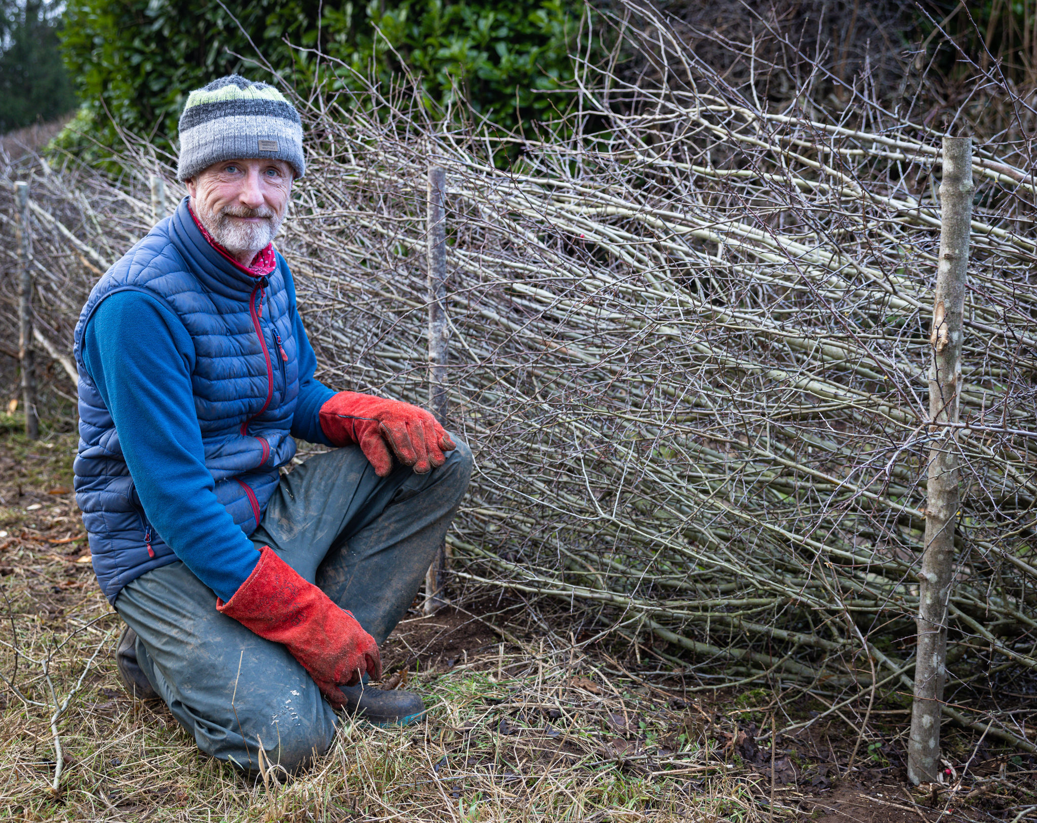 Hedgelaying Competition 2022 (c) Brad Cheek (25)