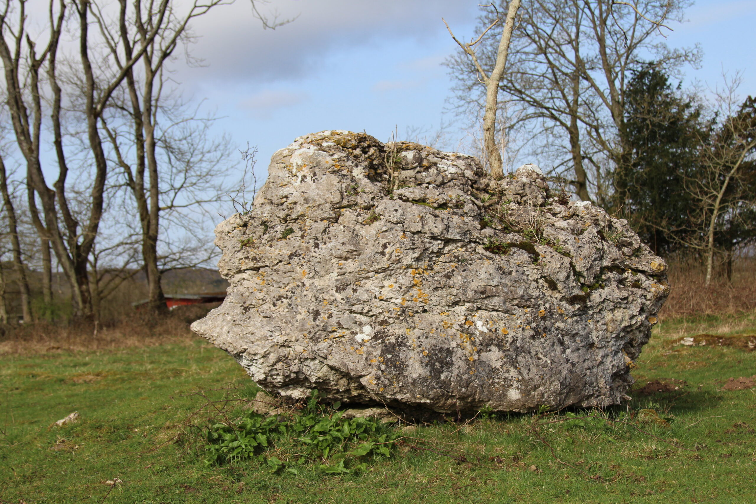 Erratic in Coldwell Parrock